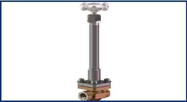Cryogenic Globe Valves